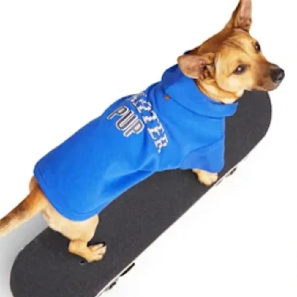 NWT Skater Pup hoodie XS